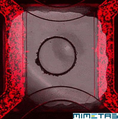 Science GIF