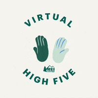 Virtual-high-five GIFs - Get the best GIF on GIPHY