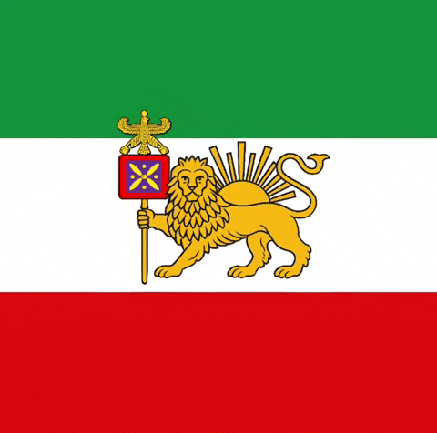 Flag King GIF