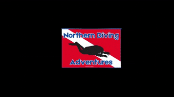 Northerndivingadventures GIF by DansDiveShop