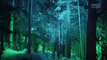 Forest Lighting GIF by Moment Factory