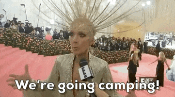 Camping Celine Dion GIF by E!