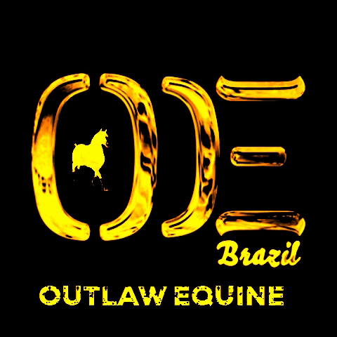 OUTLAWEQUINEVET oe outlaw equine oebrazil GIF