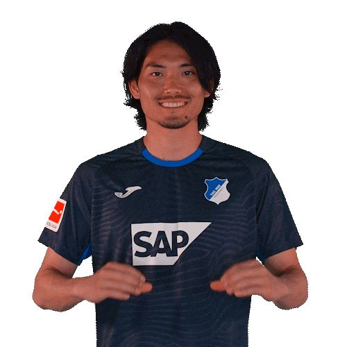 Sport Bundesliga Sticker by TSG Hoffenheim