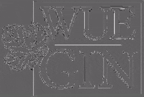 200.gif?cid=fc005b0863fff852643836f3f17d4f9503790a22273618a2&rid=200.gif&ct=g
