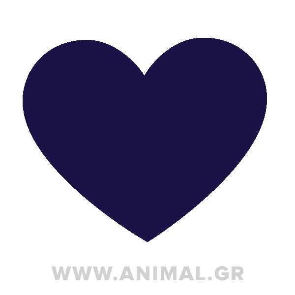 animalgr Sticker