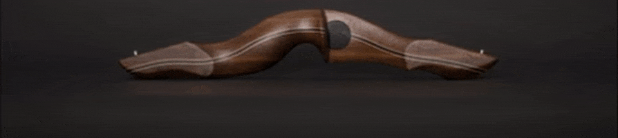 BearpawProducts sport design bear arrow GIF