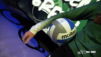 Wave Volleyball GIF by GreenWave