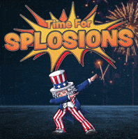Independence Day America GIF by Sealed With A GIF
