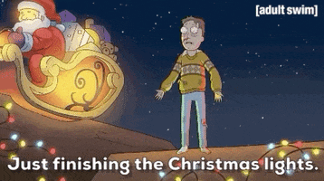 Season 4 Christmas GIF by Rick and Morty