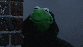 Kermit Mean GIF