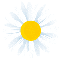 Sun Pays Sticker by Friesland Campina