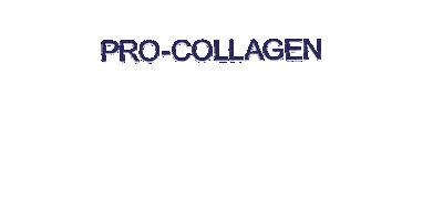 Pro-Collagen Forever Sticker by Elemis