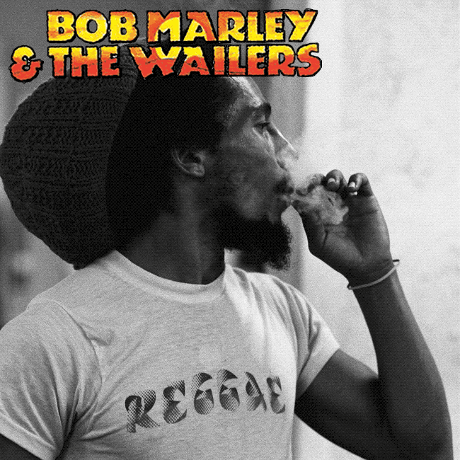 goodtimes GIF by Bob Marley