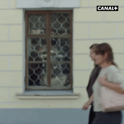 Canal Plus Surprise GIF by CANAL+