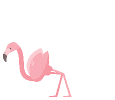Dance Party Sticker