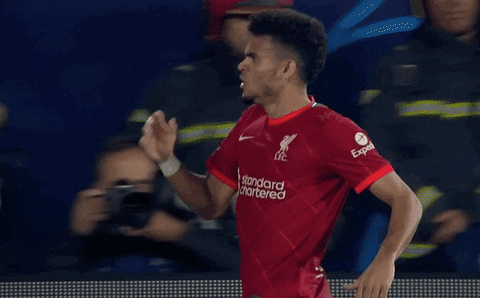 giphy.gif