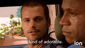 TV gif. Chris O'Donnell as Callen in NCIS LA raises his eyebrows as he says to LL Cool J as Sam, "It's kind of adorable," which appears as text.