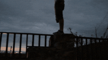 vazha  GIF