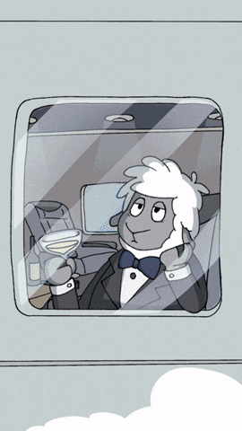 First Class Success GIF by The Sad Times