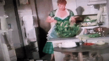 tinylittlereveries lucille ball rv life the long long trailer rv kitchen GIF