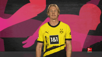 Borussia Dortmund Football GIF by Bundesliga