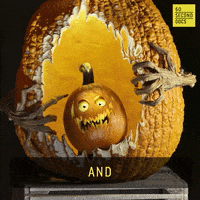 Halloween Pumpkin GIF by 60 Second Docs