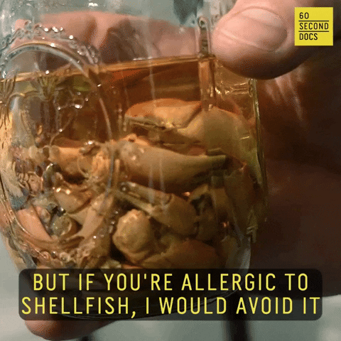 Whiskey Crab GIF by 60 Second Docs