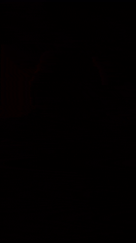 Celiin GIF