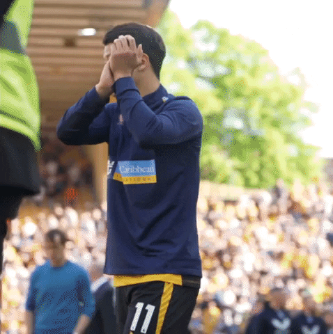 Premier League Applause GIF by Wolves