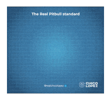 Pitbull Apbt Sticker by Chico Lopez