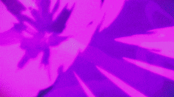Jujutsu Kaisen GIF