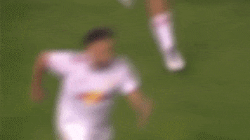 Red Bulls GIF by New York Red Bulls