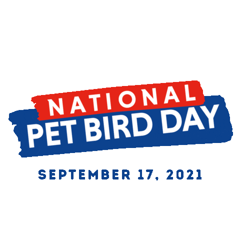 MyBird Sticker