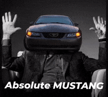 Mustang Gravy GIF