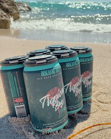 Beer Beach GIF by Biscayne Bay Brewing