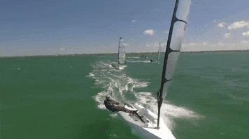 shoreline melges 14 GIF