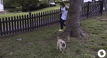 Celebrity Wife Swap GIFs - Get the best GIF on GIPHY
