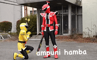 Kato Shida GIF