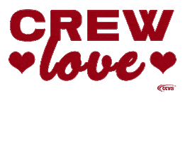 Cheer Cheerleading Sticker by Cheersportsachsen