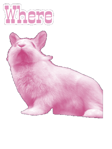 Bunny Sticker