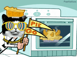 internet pi pi day march 14