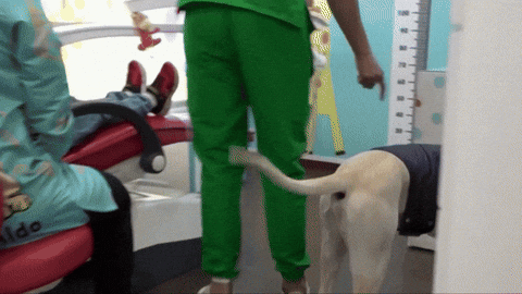 Animated GIF - Find & Share on GIPHY