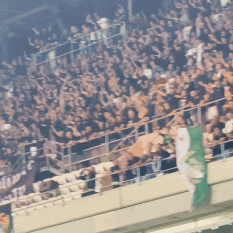 Fans GIF by ETOfcofficial