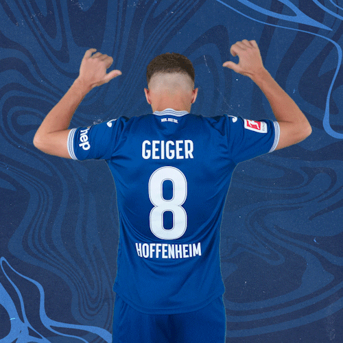 Dennis Geiger Football GIF by TSG Hoffenheim