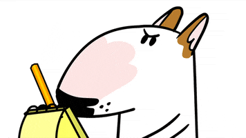Bull Terrier Writing GIF by Jimmy the Bull