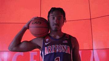 Arizona Wildcats GIF by Arizona Men's Basketball