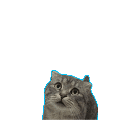 Ferhat Şaşkın Sticker