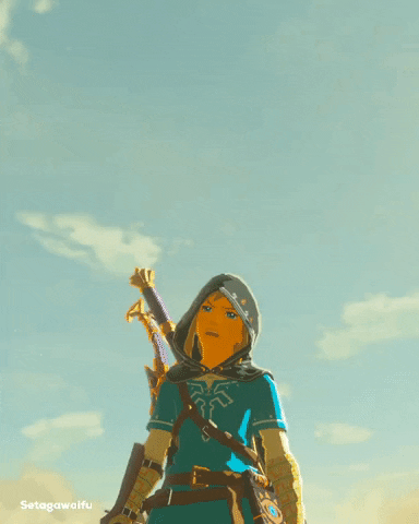 Breath Of The Wild Link GIF