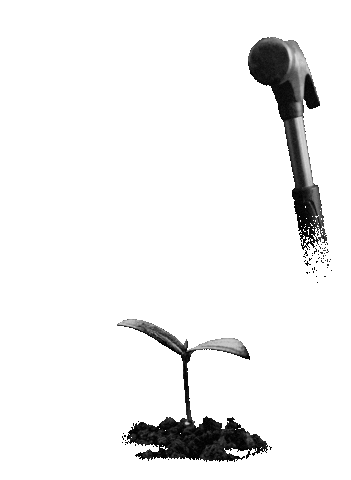 Plant Growing Sticker by ceredia